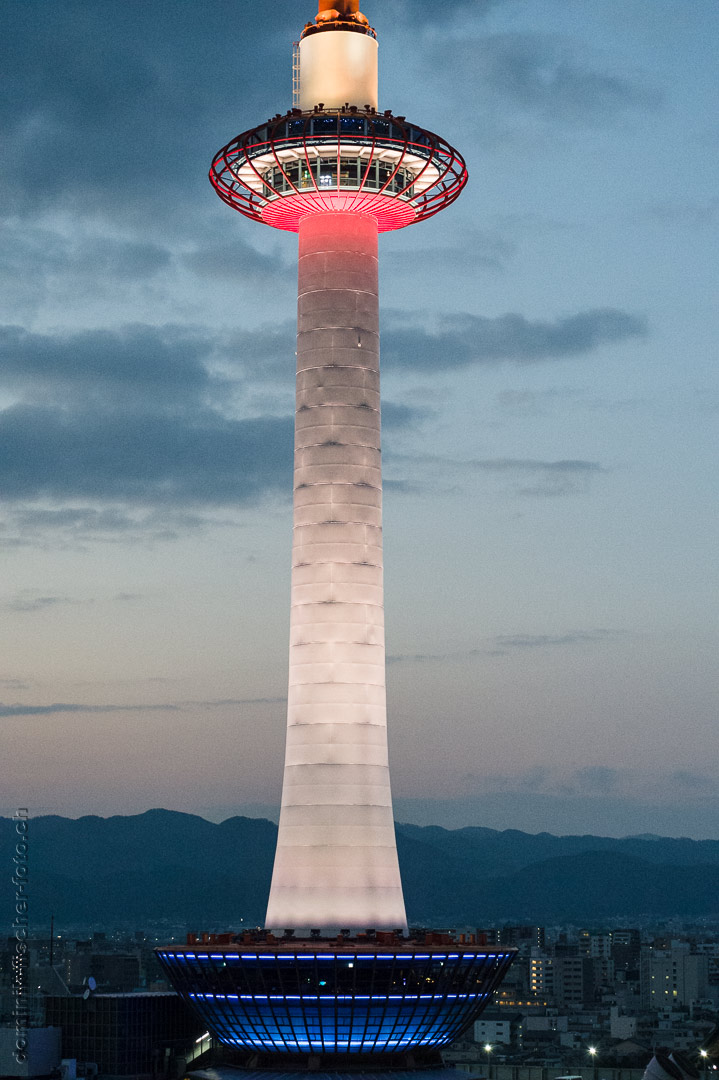 1136.jpg
